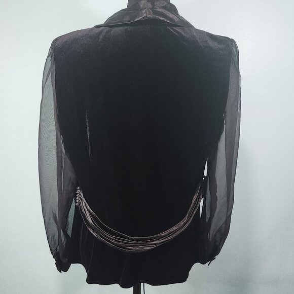 Velvet Evening Blouse, M, Vintage, Sheer Sleeves, Another Thyme,
Lot I - Picture 3 of 7